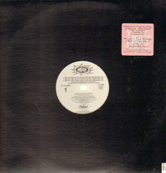 MELLOW MAN ACE - What's It Take To Pull A Hottie (Like You)? (PROMO) - Disque Maxi x 1