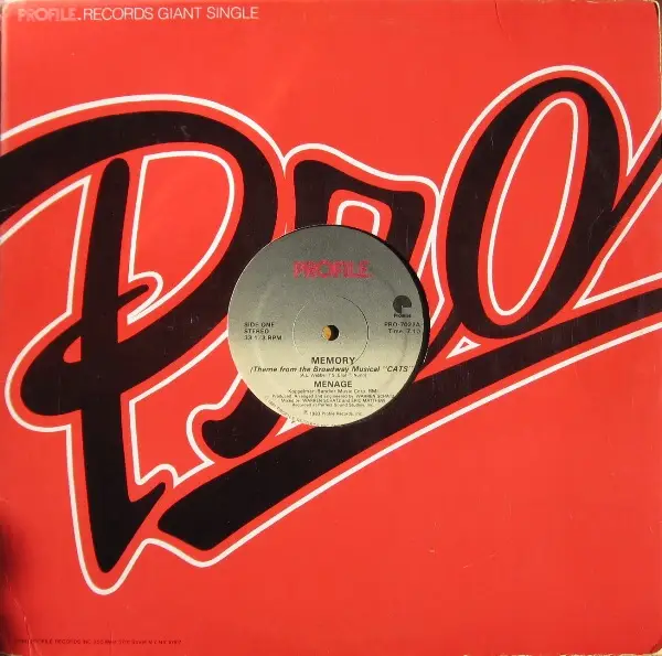 MENAGE - Memory - Disque Maxi x 1