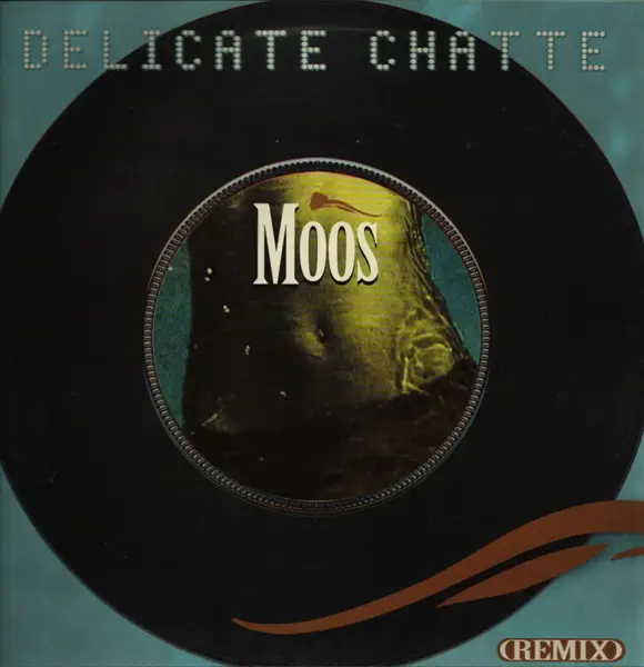 moos délicate chatte (remix)