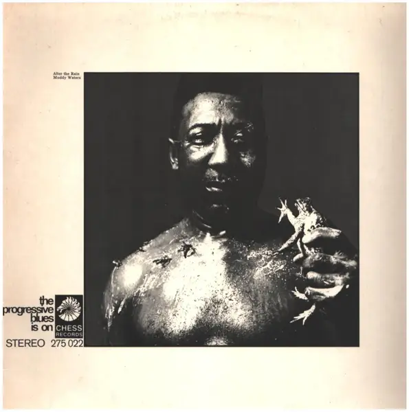 MUDDY WATERS - After The Rain - Disque 33T