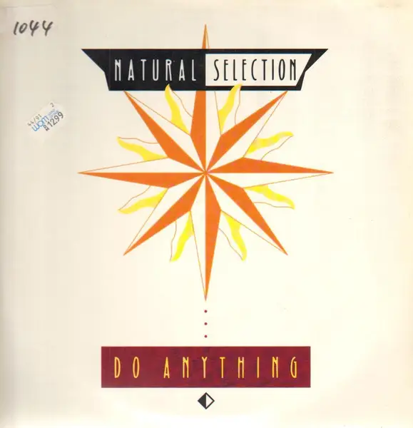 Natural Selection Do Anything