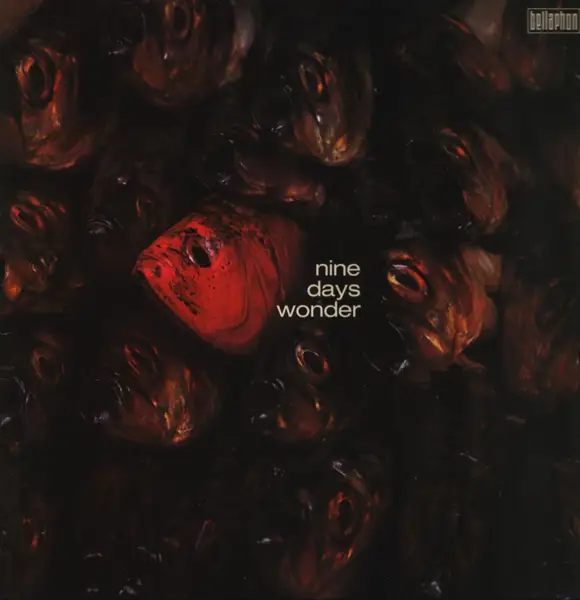 NINE DAYS' WONDER - Nine Days' Wonder - LP