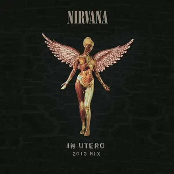 nirvana in utero (2013 mix)