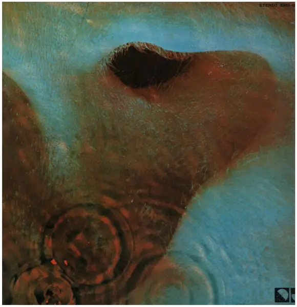 pink floyd meddle