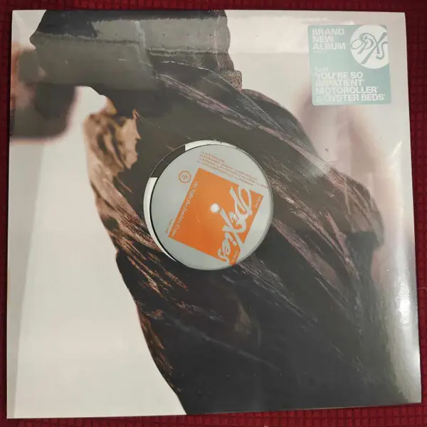 PIXIES - The Night The Zombies Came - Disque 33T