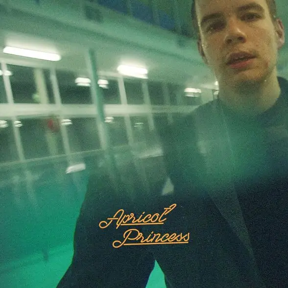 REX ORANGE COUNTY - Apricot Princess (STILL SEALED, ORANGE VINYL, LTD ED.) - LP