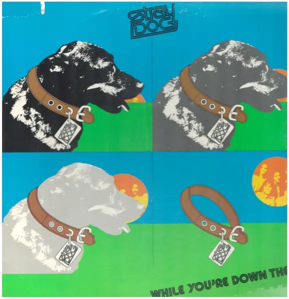 STRAY DOG - While You're Down Here - LP