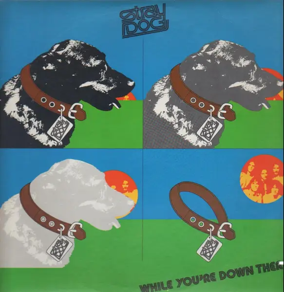 STRAY DOG - While You're Down Here (STILL SEALED) - LP