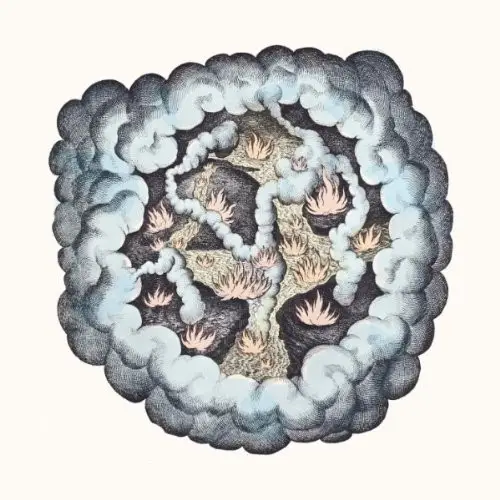 T.W. WALSH - Songs Of Pain And Leisure - Disque CD