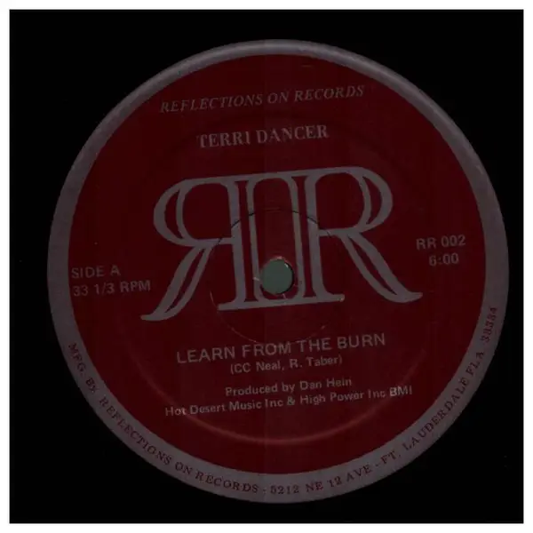 TERRI DANCER - Learn From The Burn - 12 inch x 1