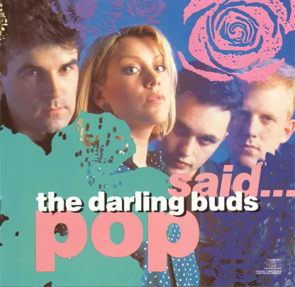 The Darling Buds Pop Said...