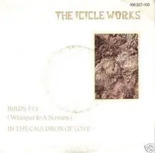 THE ICICLE WORKS - Birds Fly (Whisper To A Scream) / In The Cauldron Of Love - Disque 45T x 1