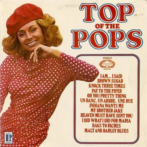UNKNOWN ARTIST - Top Of The Pops Vol. 17 - Disque 33T