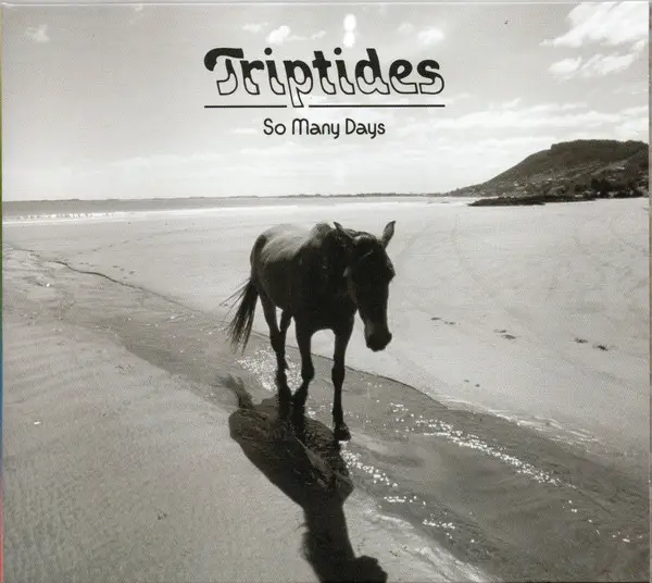 TRIPTIDES - So Many Days (DIGIPAK) - Disque CD