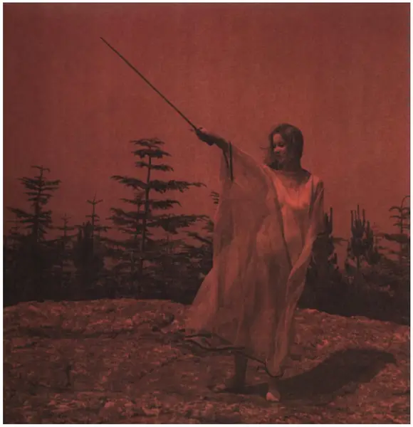 UNKNOWN MORTAL ORCHESTRA - II - Disque 33T