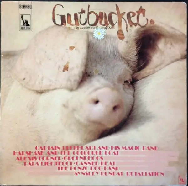 CAPTAIN BEEFHEART, BONZO DOG BAND, GROUNDHOGS - Gutbucket - an underworld Eruption - Disque 33T