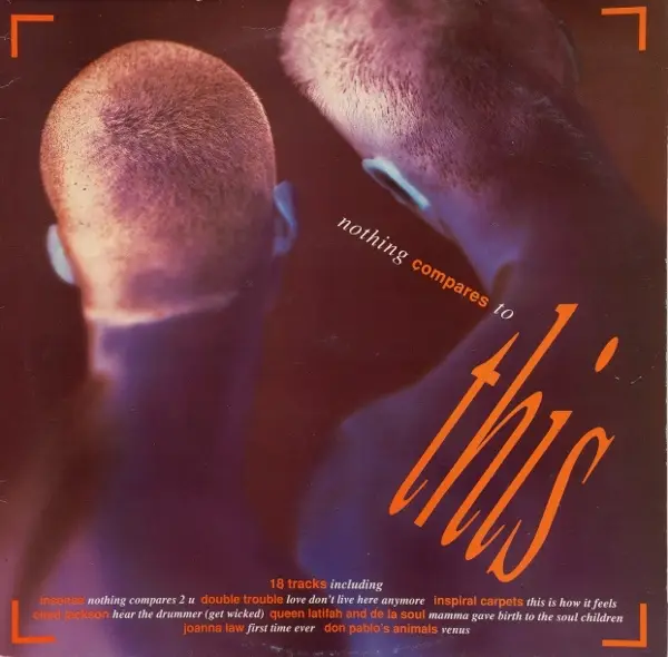 DOUBLE TROUBLE, CHAD JACKSON, QUEEN LATIFAH & DE LA SOUL A.O. - Nothing Compares To This - Disque 33T