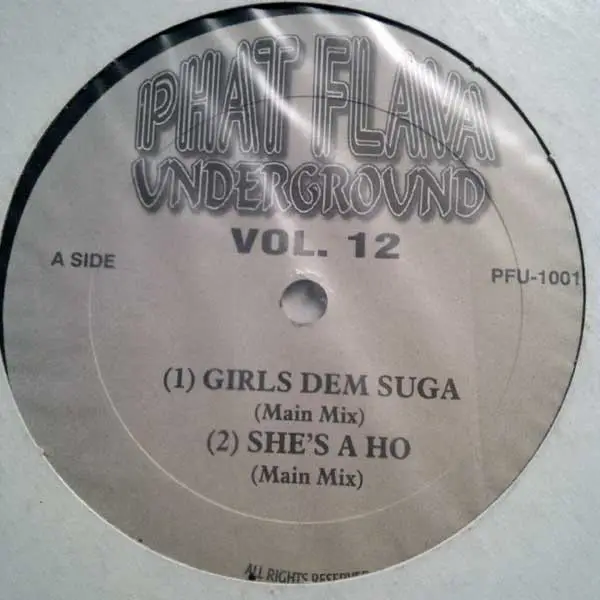 DANCEHALL SAMPLER - Phat Flava Underground ?Vol. 12 - Disque Maxi x 1