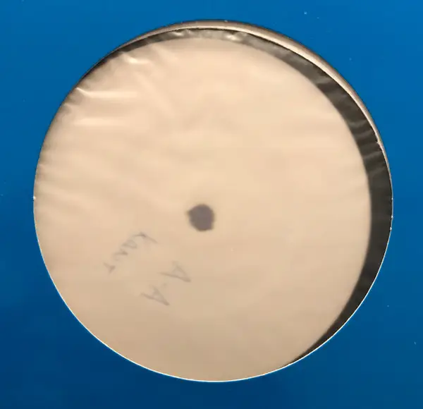 VERONICA BROWN - Last 2 Know - Disque Maxi x 1