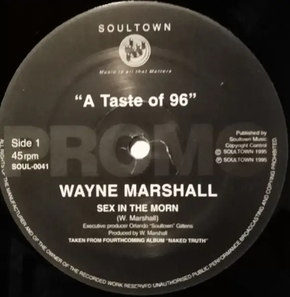 WAYNE MARSHALL - A Taste Of 96 - Disque Maxi x 1