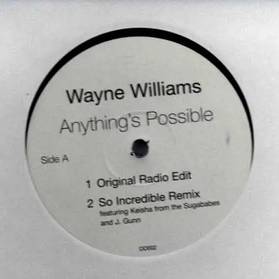 Wayne Williams Anything's Possible