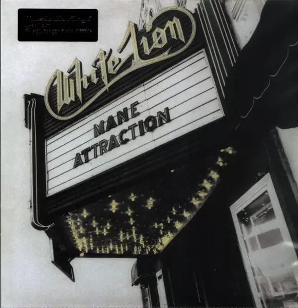 white lion mane attraction