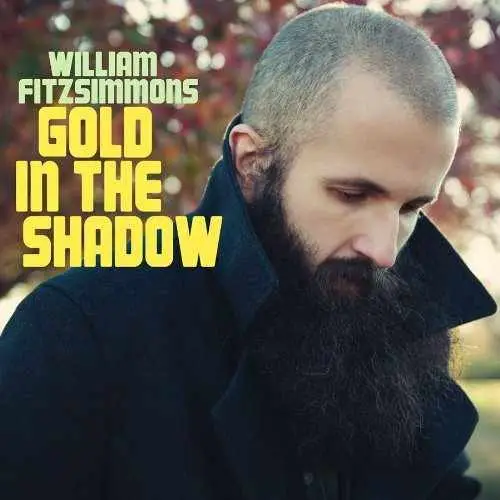 WILLIAM FITZSIMMONS - Gold In The Shadow - LP