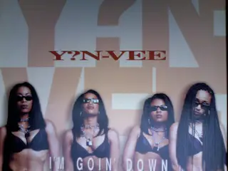 Y?N-VEE, Y.N.V. - I'm Goin' Down - Disque Maxi x 1