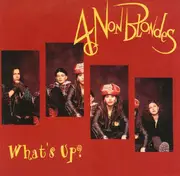 7inch Vinyl Single - 4 Non Blondes - What's Up?