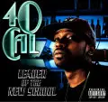 40 Cal. - Leader of the New School