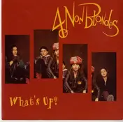 4 Non Blondes - What'S Up/ (Vinyl Single)
