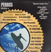 60's Garage Punk Compilation - Pebbles Vol. 4