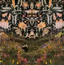 CD - 90 Day Men - Panda Park