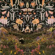 90 Day Men - Panda Park