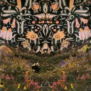 CD - 90 Day Men - Panda Park