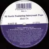 12'' - 95 North Featuring Sabrynaah Pope - Hold On