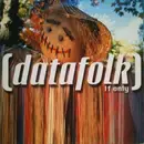 12inch Vinyl Single - (Datafolk) - If Only