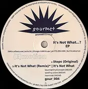 E:Motion - It's Not What...? EP