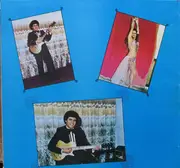 LP - مايك حجازي - محمد مايك حجازي عازف الكيتار الذهبي = Belly Dance With Mohammed 'Mike' Hegazi And His Golden Guitar