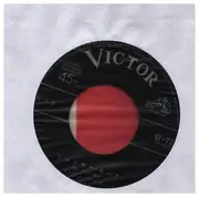 7inch Vinyl Single - マイティ・サラダ・シンジケート = マイティ・サラダ・シンジケート - Funky Horse / Soul Power
