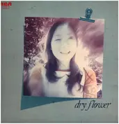 入江恵真 = Ema Irie