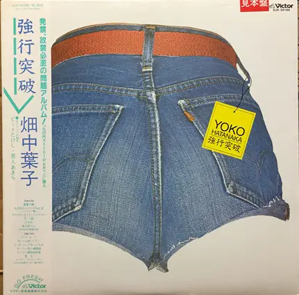 畑中葉子 - 強行突破