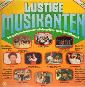 Various Artists - Lustige Musikanten - 5. Album