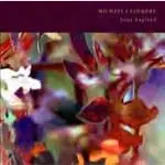 Michael Cashmore - Sleep England