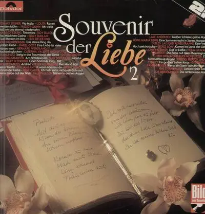 Various - Souvenir der Liebe 2