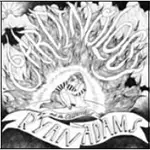 RYAN & THE CARDINALSADAMS - CARDINOLOGY