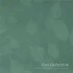 Tias Carlson - WHAT I HAVE GATHERED FROM COINCIDEN