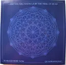 Double LP & CD - ...And You Will Know Us By The Trail Of Dead - XI: Bleed Here Now - Still sealed, booklet