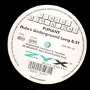 12inch Vinyl Single - 1-800-Dis-N-Dat - Punany