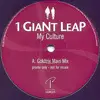 LP - 1 Giant Leap - My Culture